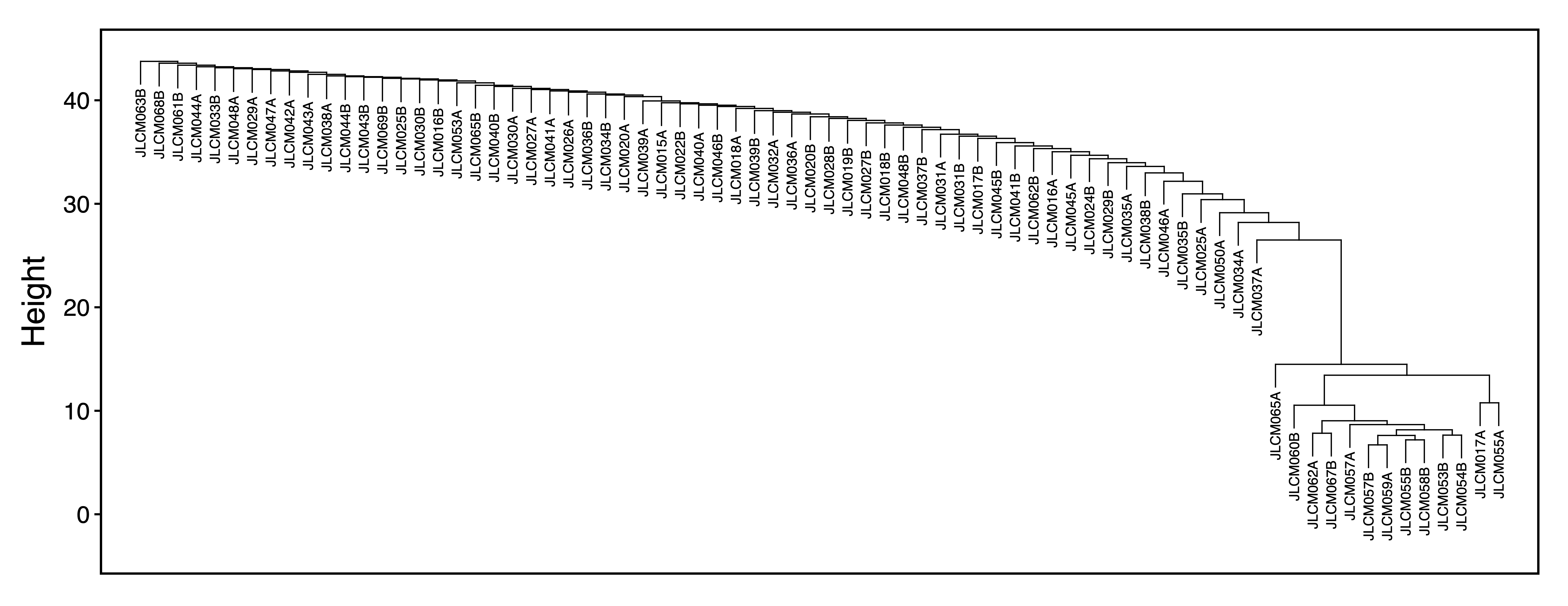 Figure 6. Sample Dendrogram