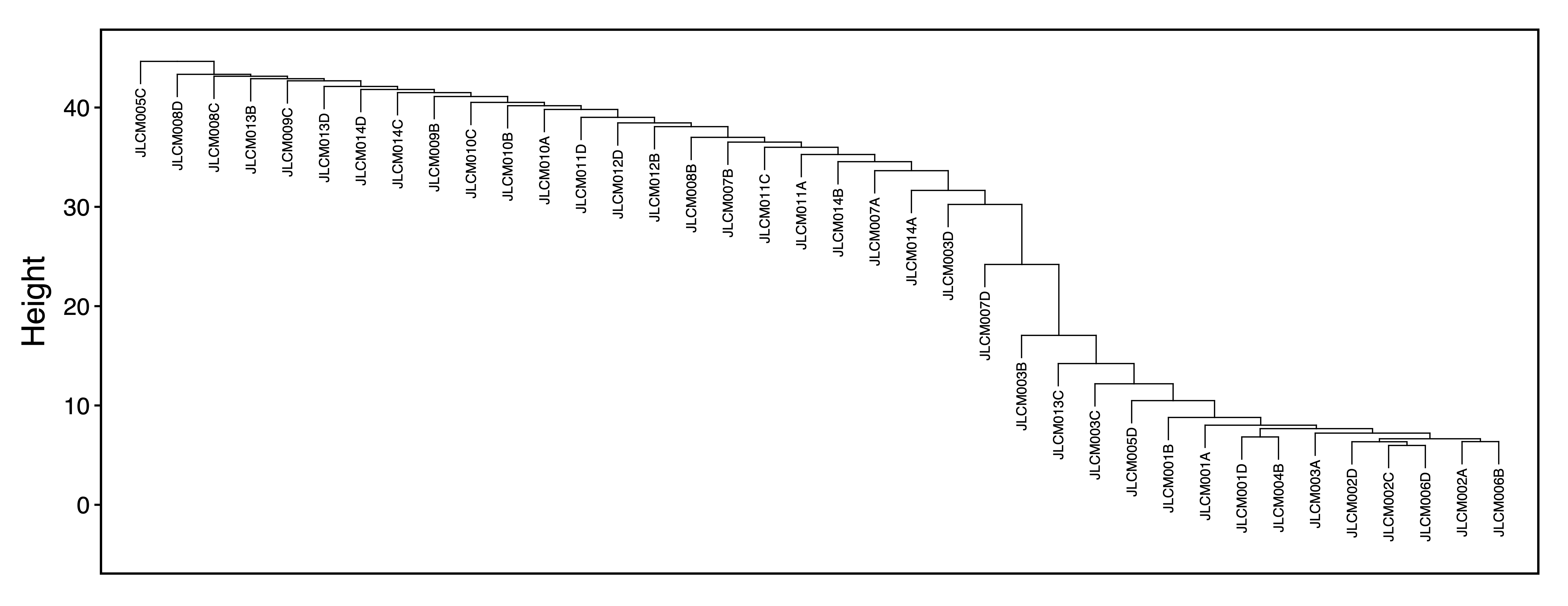 Figure 5. Sample Dendrogram